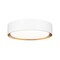 Z-Lite Kawan 1 Light Flush Mount, 12in. W x 5.25in. L, Matte White and Modern Gold 1014F12-MW-MGLD-LED - alternate 1